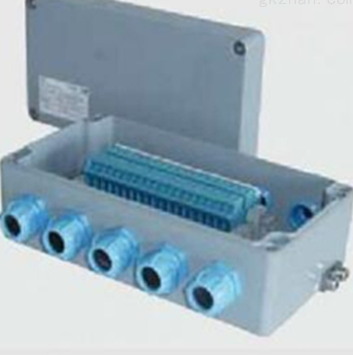 德國FLUIDTECHNIK FIEDLER壓力表