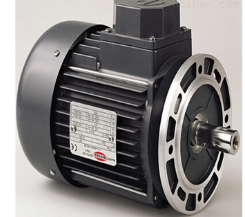 意大利Motori Bonora交流電機