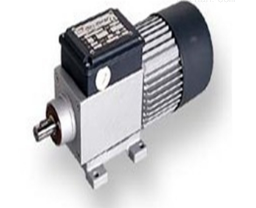 意大利MINI MOTOR電機