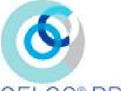 意大利CELCO PROFIL導電滑環