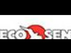 美國(guó)ECO Sensors臭氣監(jiān)測(cè)儀