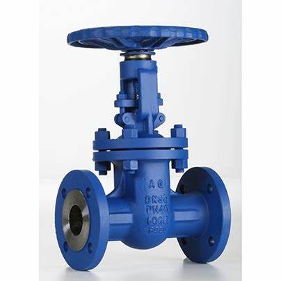 供應意大利Valvosider閥門、過濾器