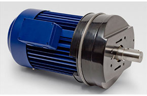 Birkenbeul專用電機(jī)