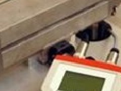 德國MESOMATIC顯示器